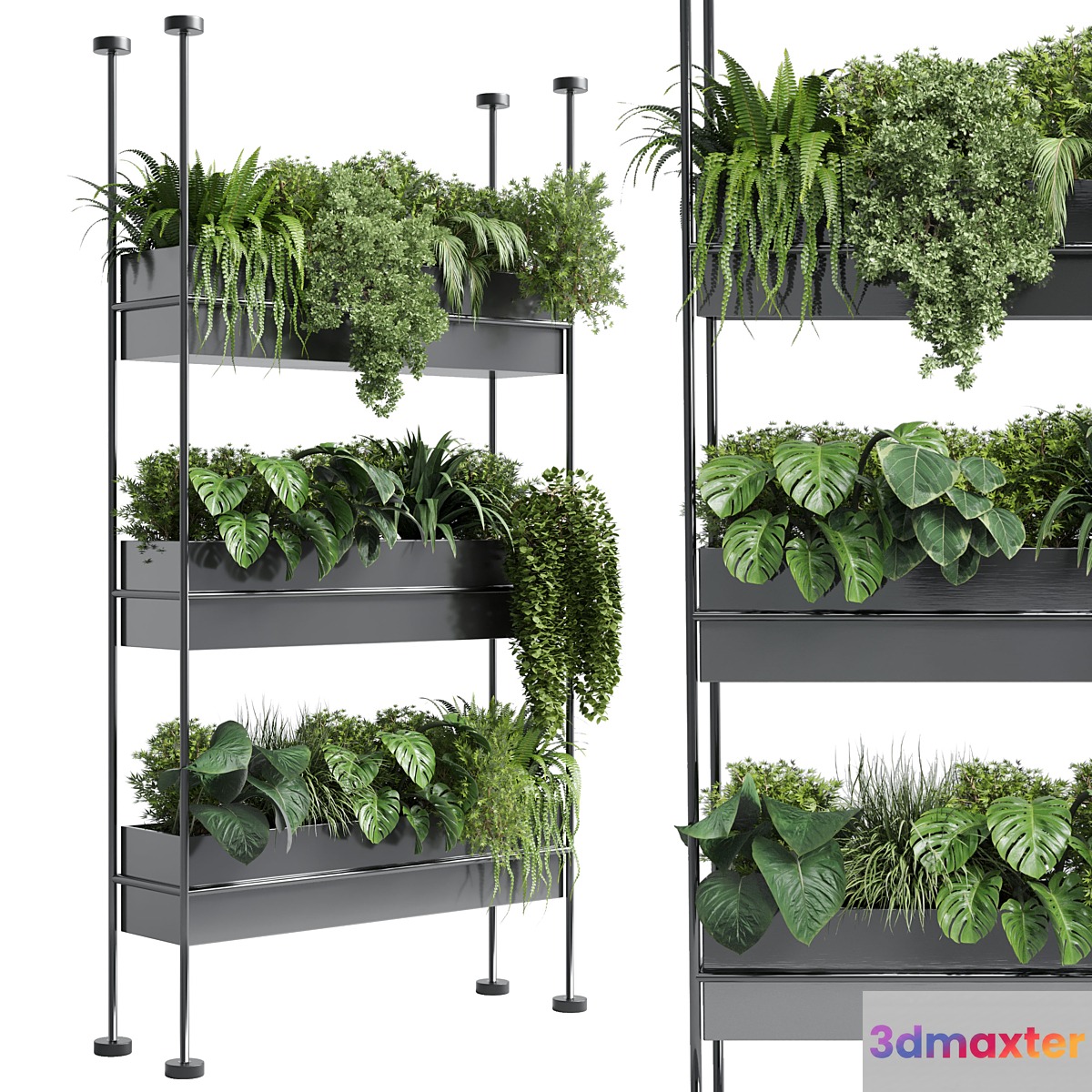 stand wall decor with shelves for the closet or showcase plants collection 179