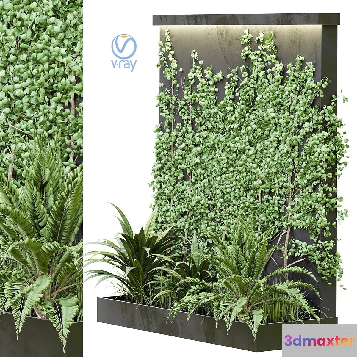 Outdoor Plant Vol38