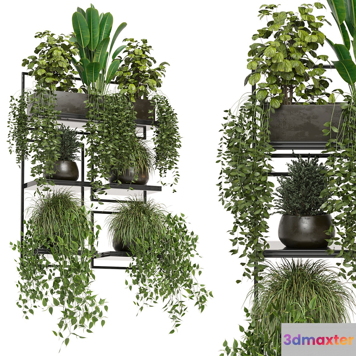 indoor plants in rusty concrete pot on metal shelf - Set 207 - No.2