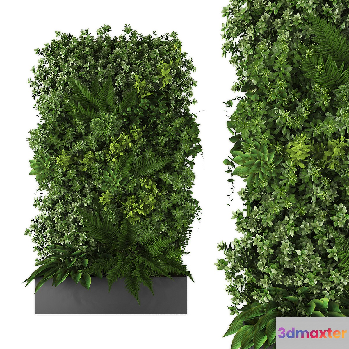 vertical garden167