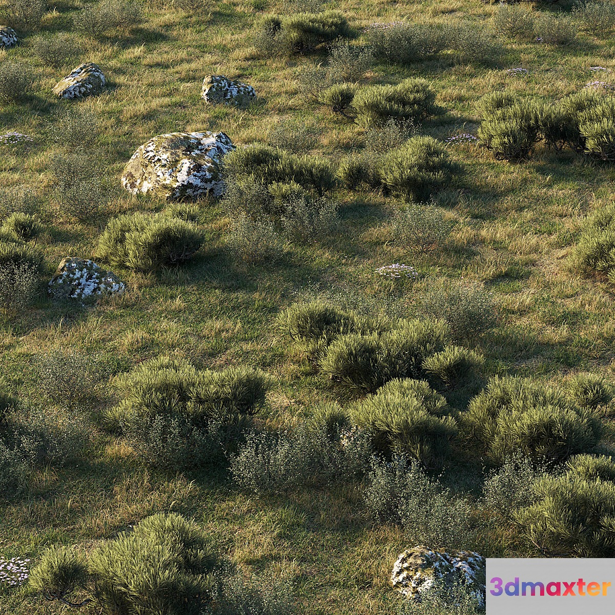 forest landscape - No.2