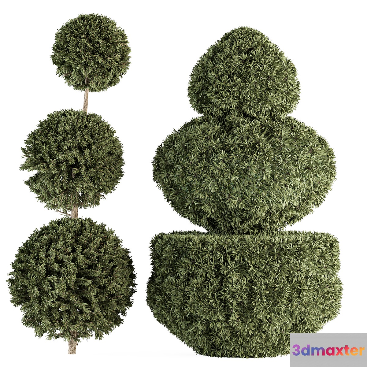 Topiary shape Bush - Bush Set 65