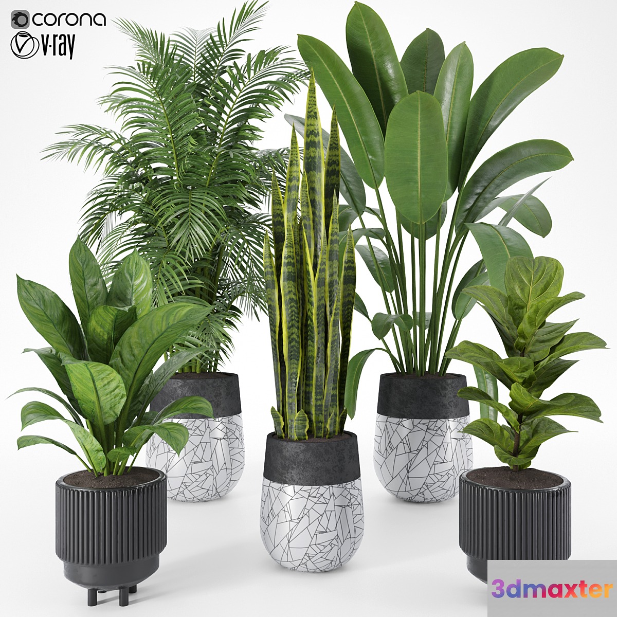 Plant Set 10 3D Max