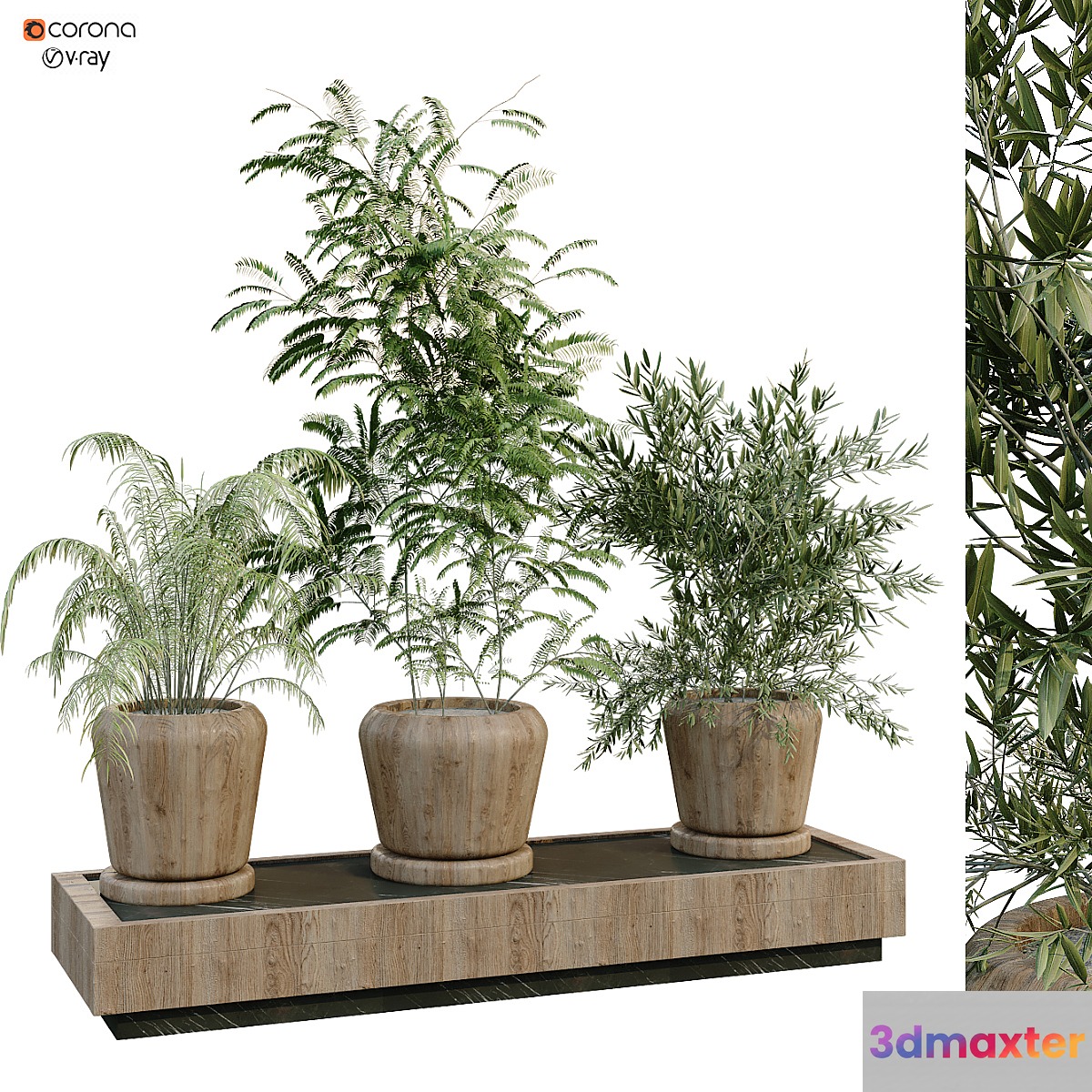 green plant box 269