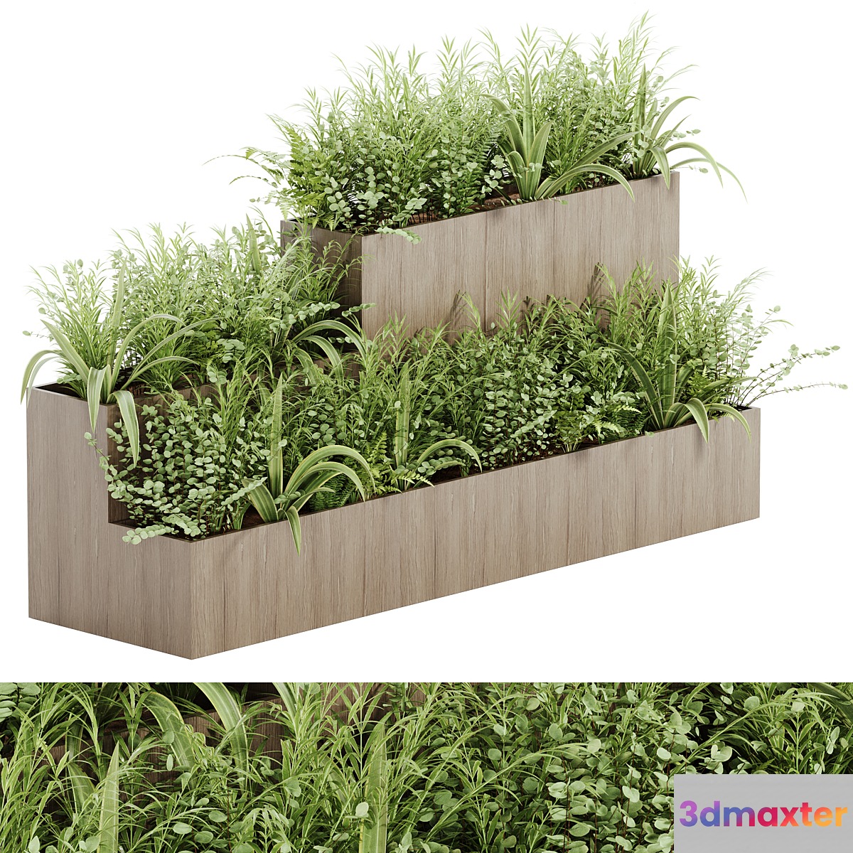 indoor plant Set 21 - No.2