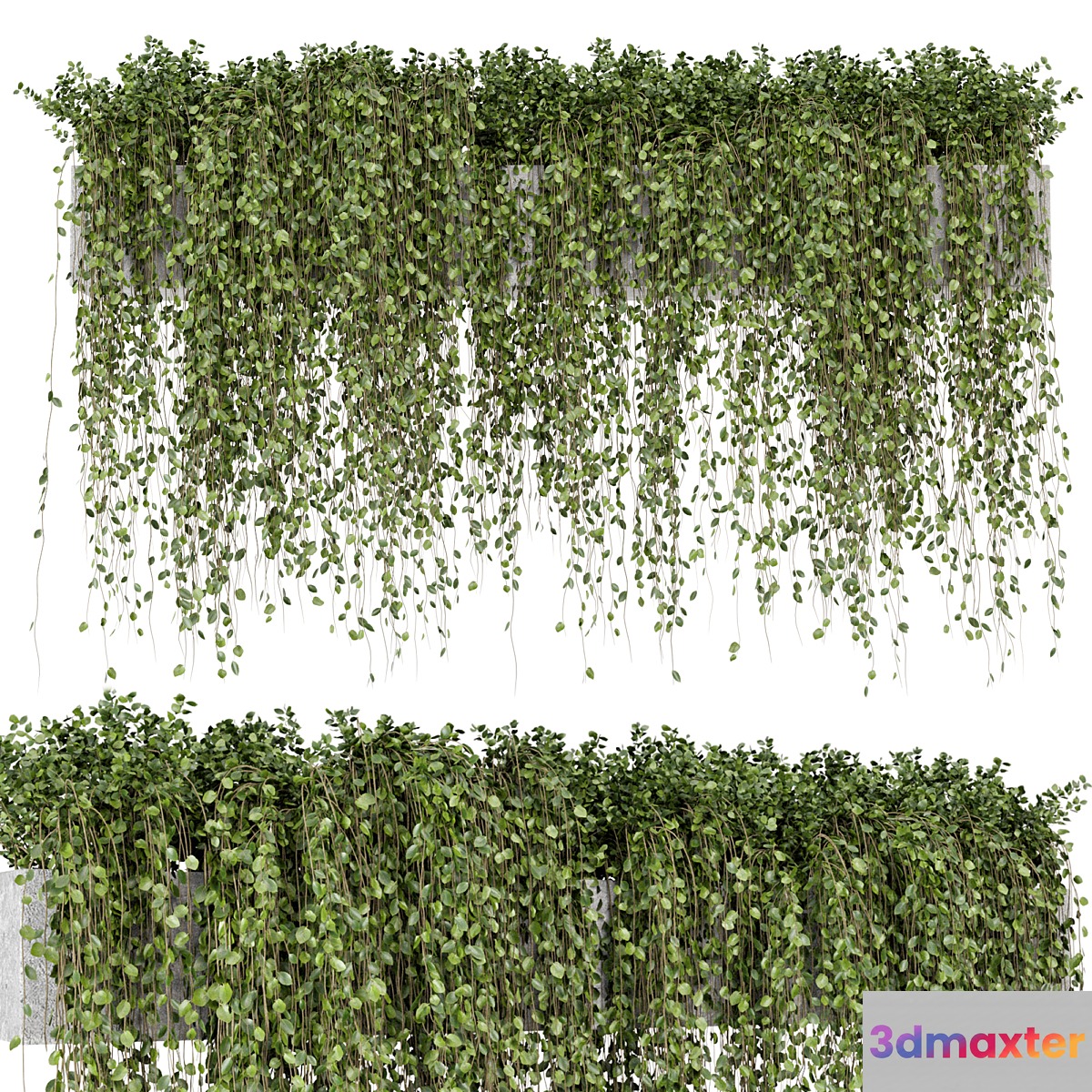 Hanging Plants in rusty Concrete Pot - Set 509 3D Max