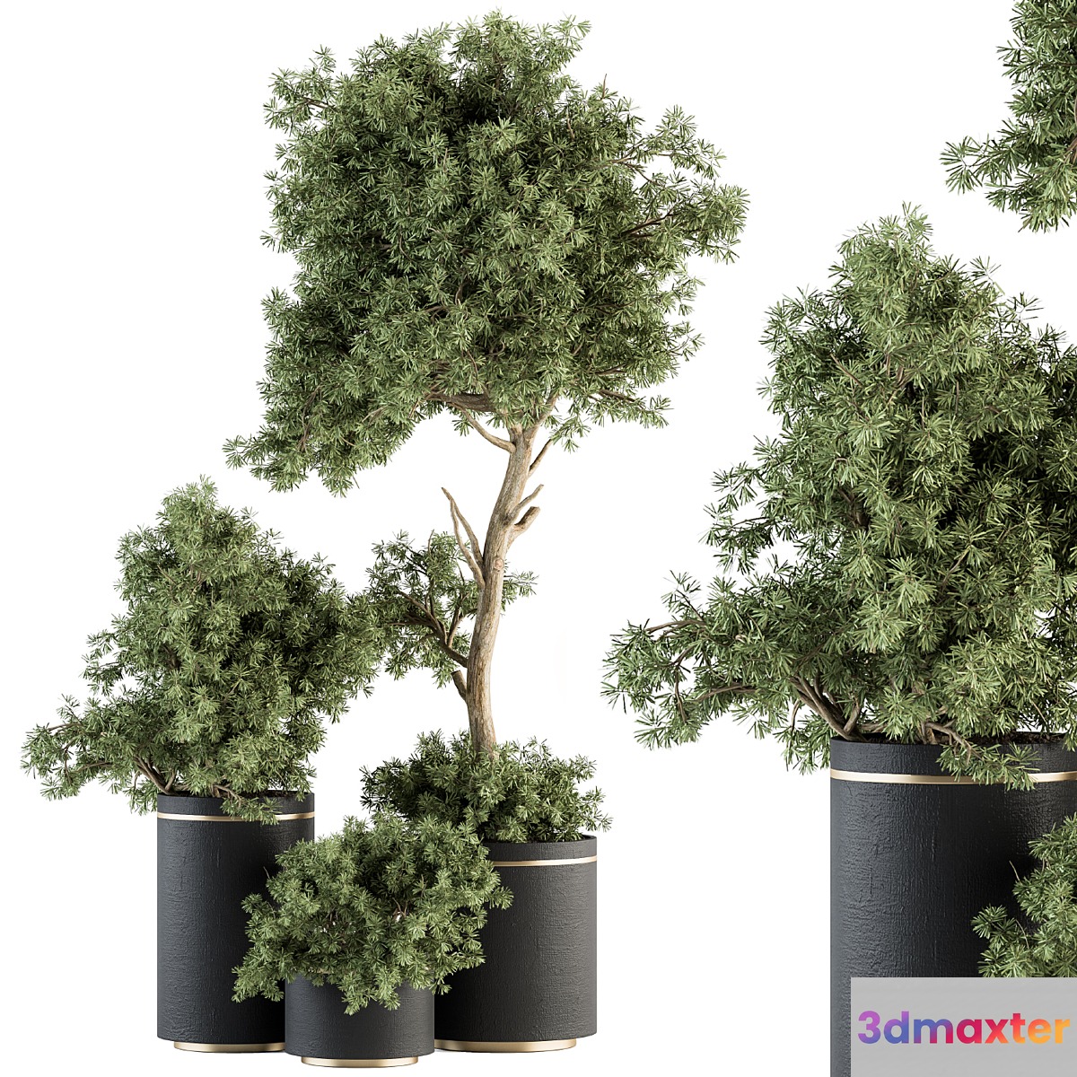 indoor Plant Set 344- Tree and Plant Set in pot 3D Max