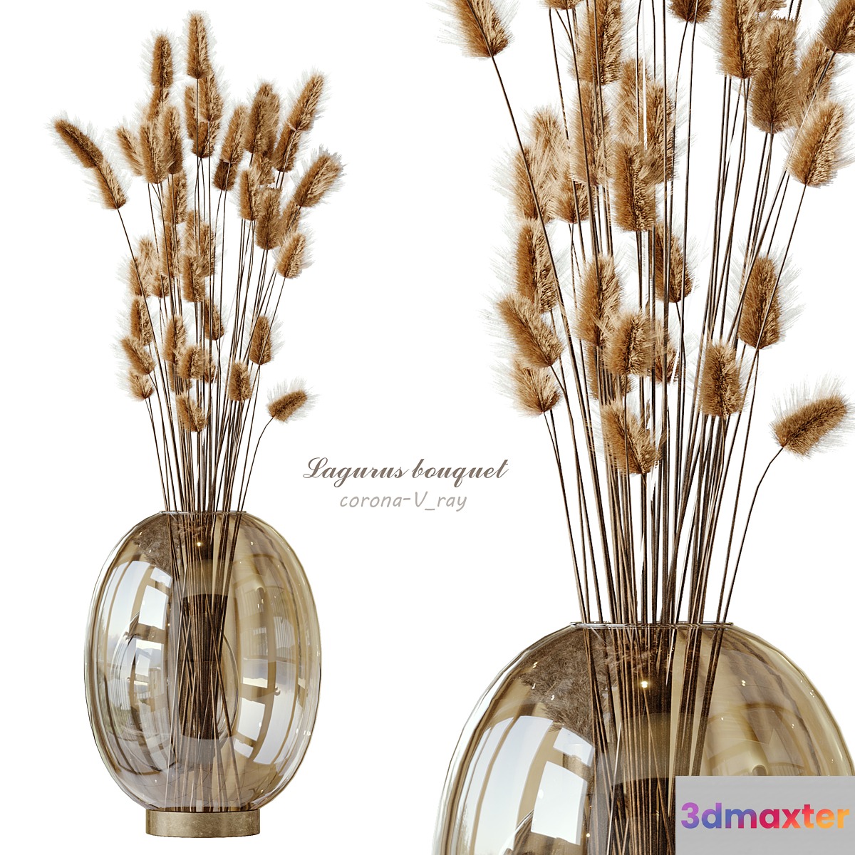 Lagurus bouquet 01 3D Max