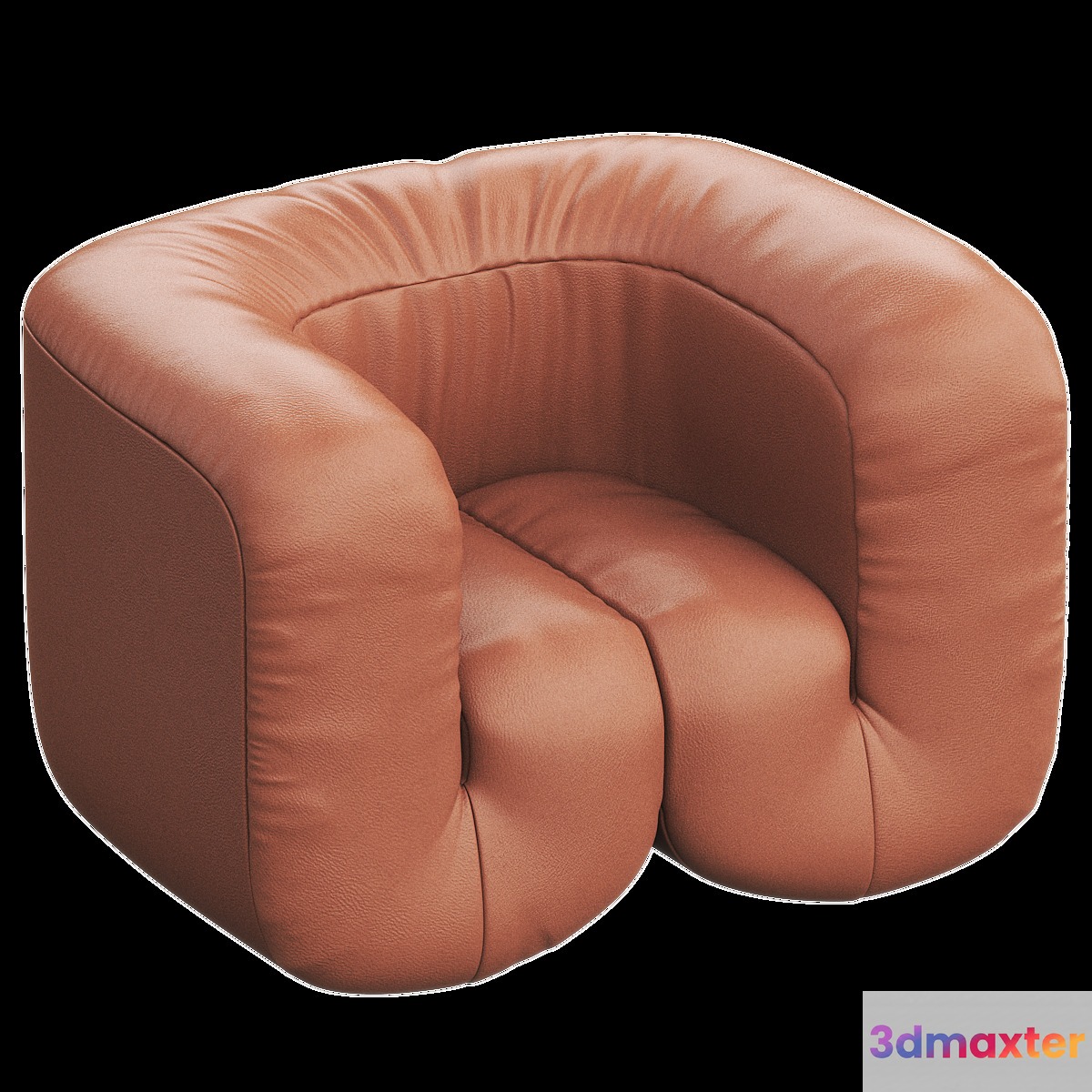 DS-707 Leather armchair By de Sede - No.2