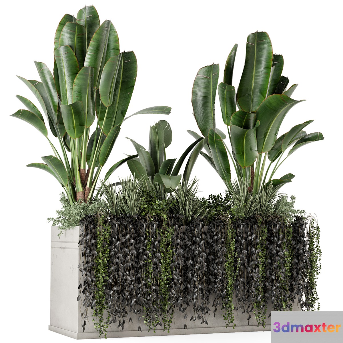 Outdoor Plants in Concrete Pot-Set 519