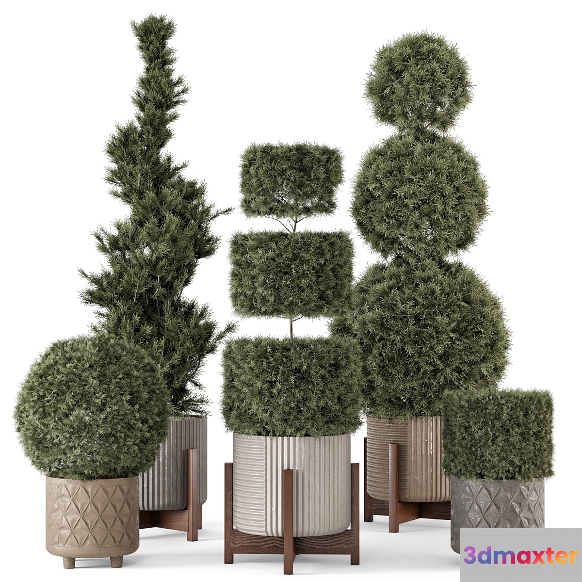 Outdoor Pine Plants in Concrete Pot - Set 522