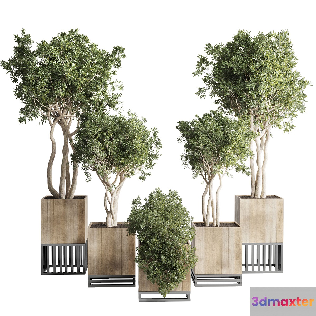 wooden Box Plants on Stand - collection of houseplants indoor 193 3D Max