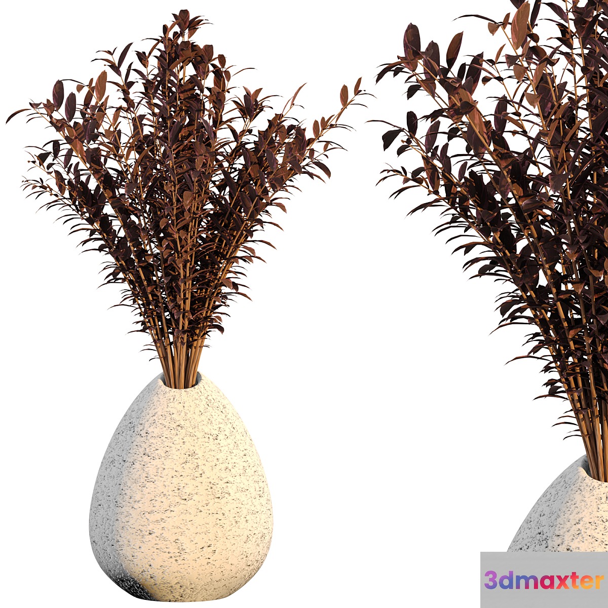Dry flower 008