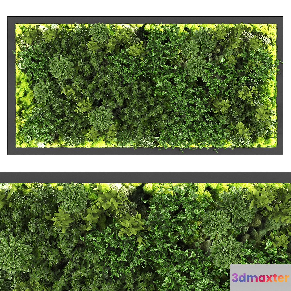 vertical garden169