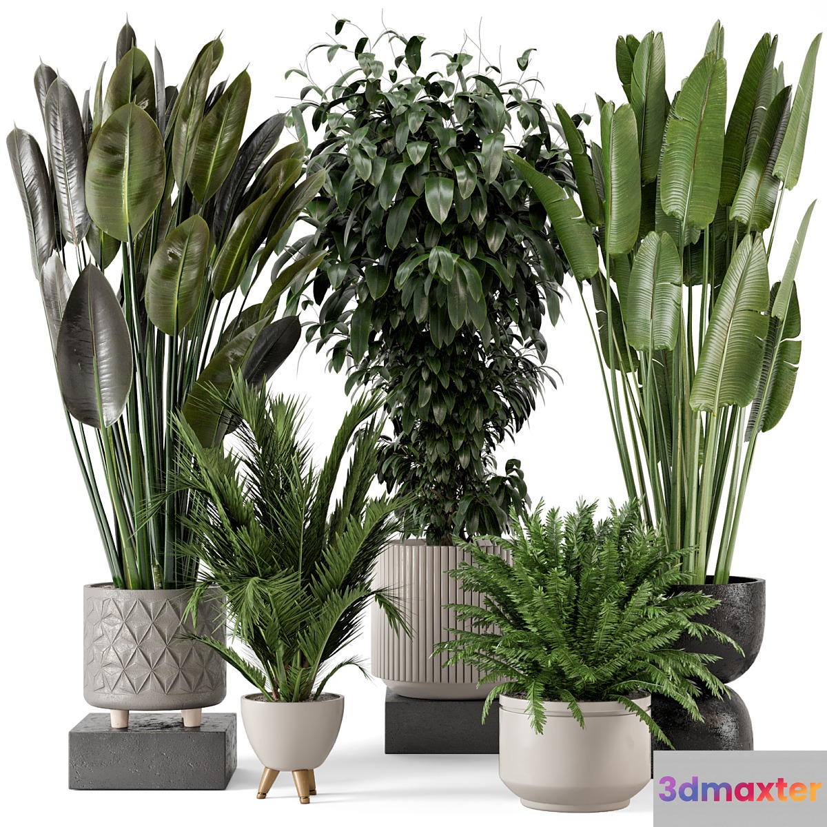 Indoor Plants in rusty Concrete Pot - Set 542