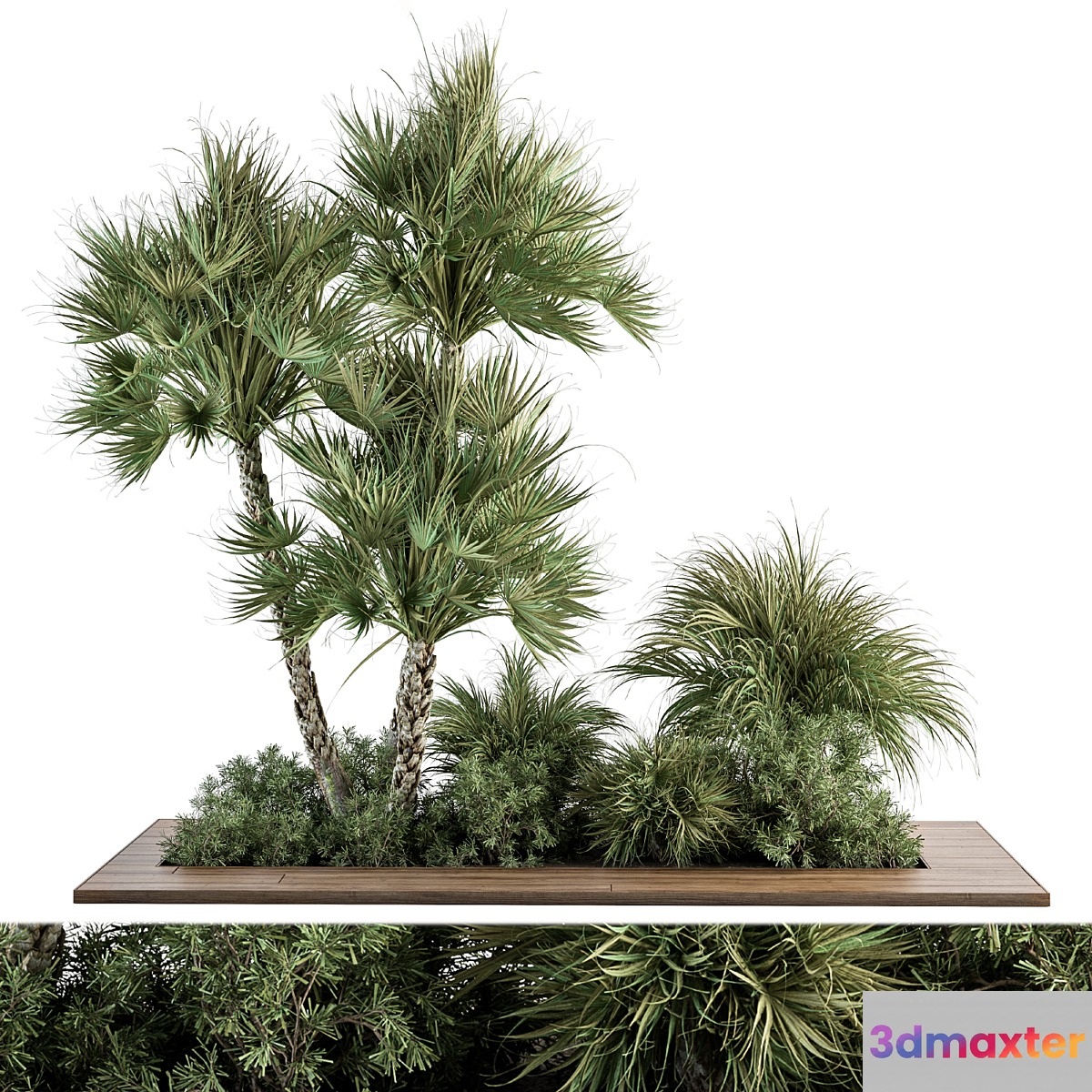 Garden Set Tropical Plants - Outdoor Plants Set 369 - No.2