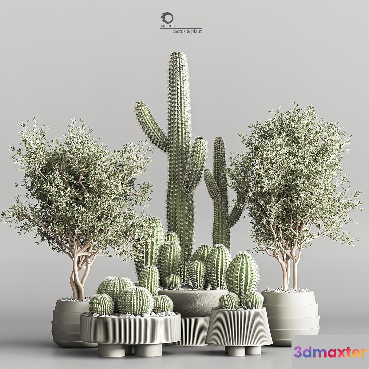 Cactus & plant vol 01