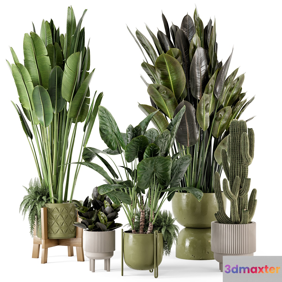 Indoor Plants in Standing Legs Small Bowl Concrete Pot - Set 563 - No.2