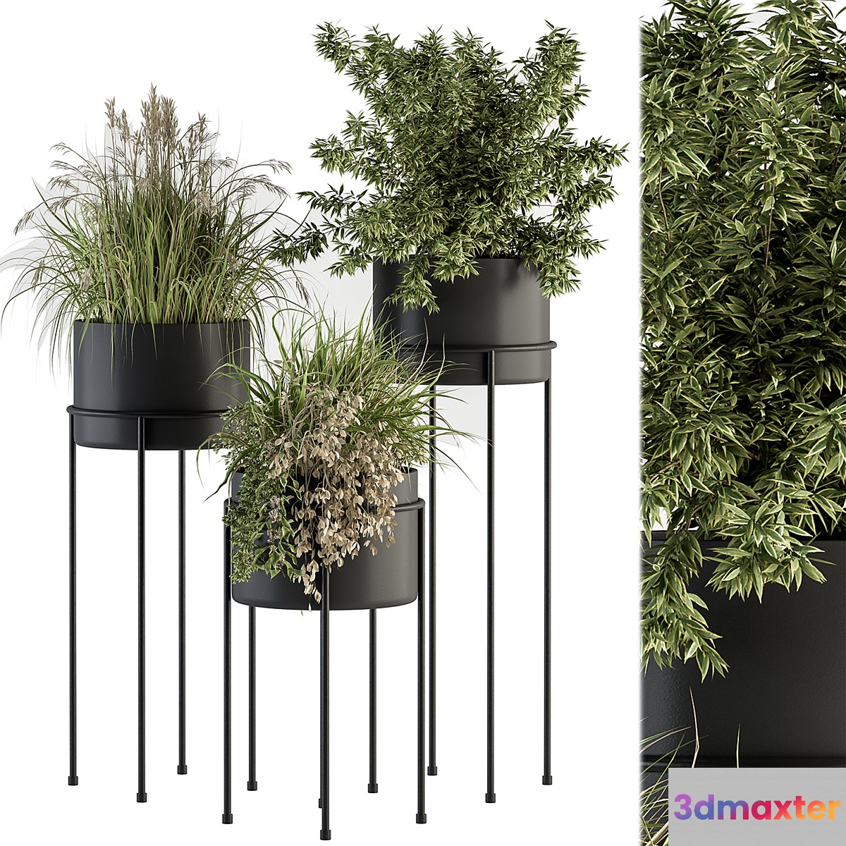 indoor Plant Set 370 - Tree and Plant Set Stand pot