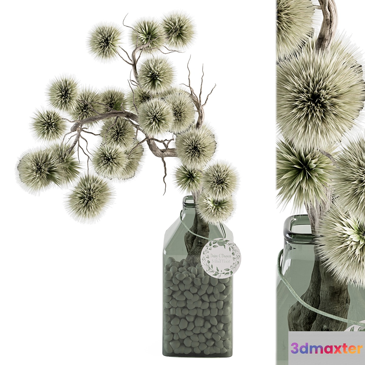 Bouquet plants 96 - Dried Plant Stirlingia