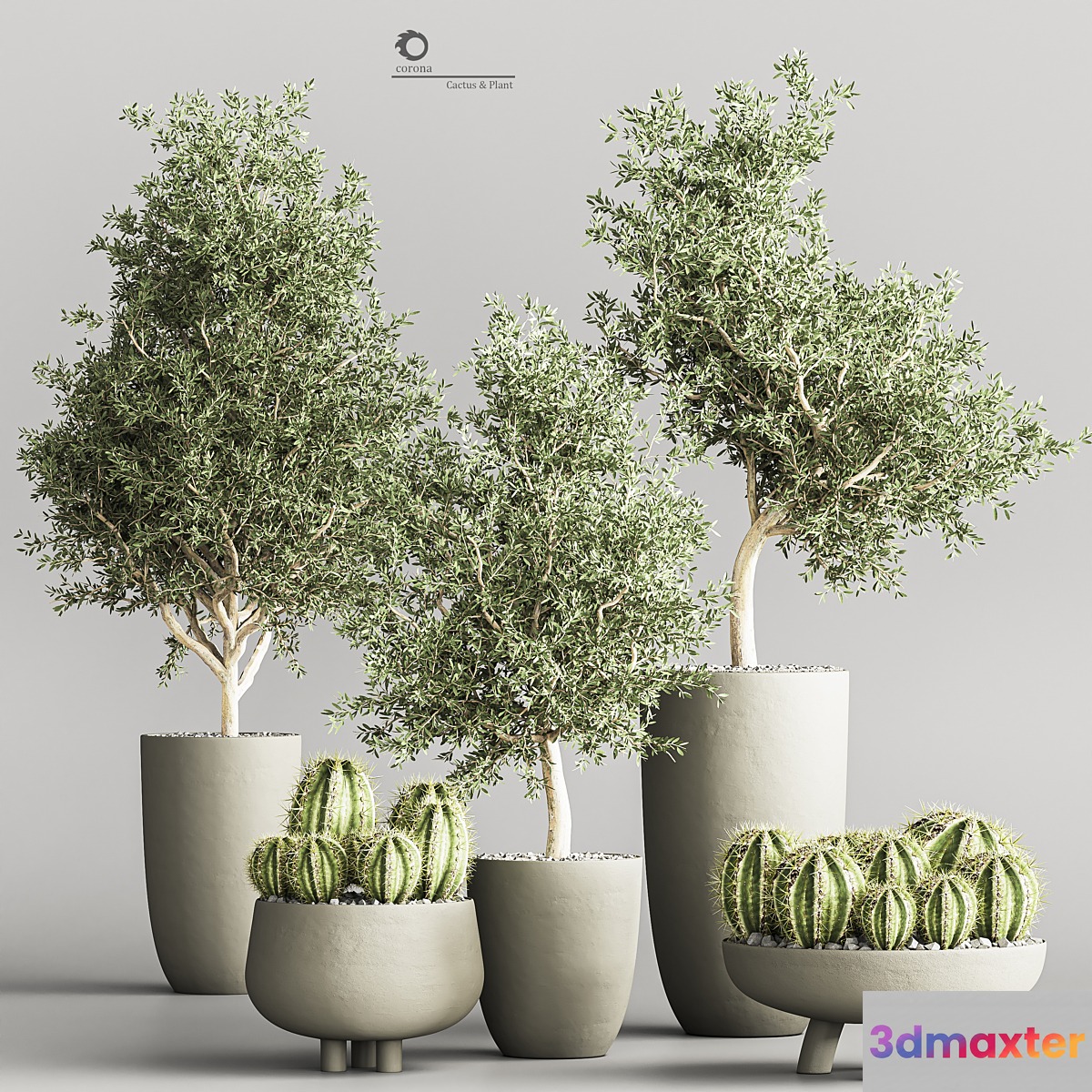 cactus & plant vol 03 3D Max