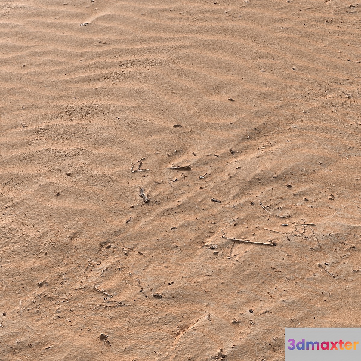 PBR Sand Beach 07 3D Max
