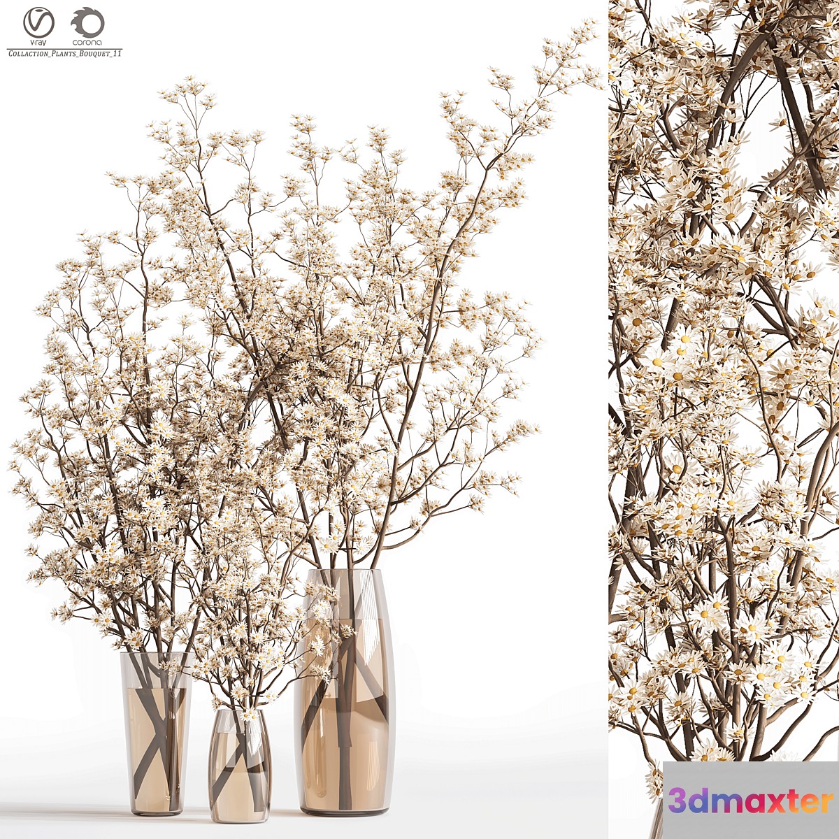 Collaction_Plants_Bouquet_11 - No.2