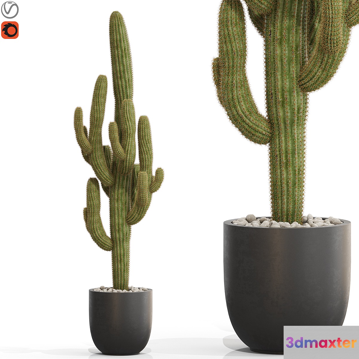 Plants collection 690 3D Max
