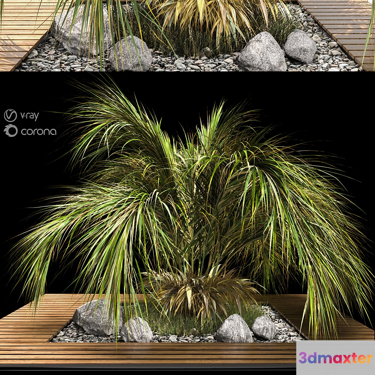 palm tree - No.3