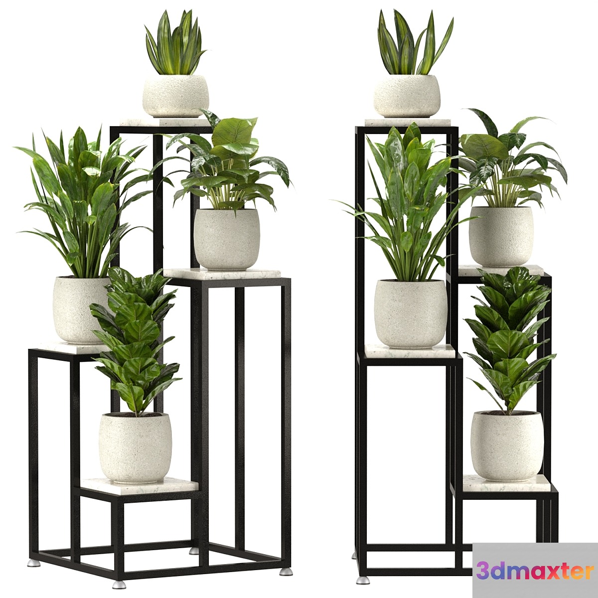 Collection Indoor Plants Set Nim08 3D Max