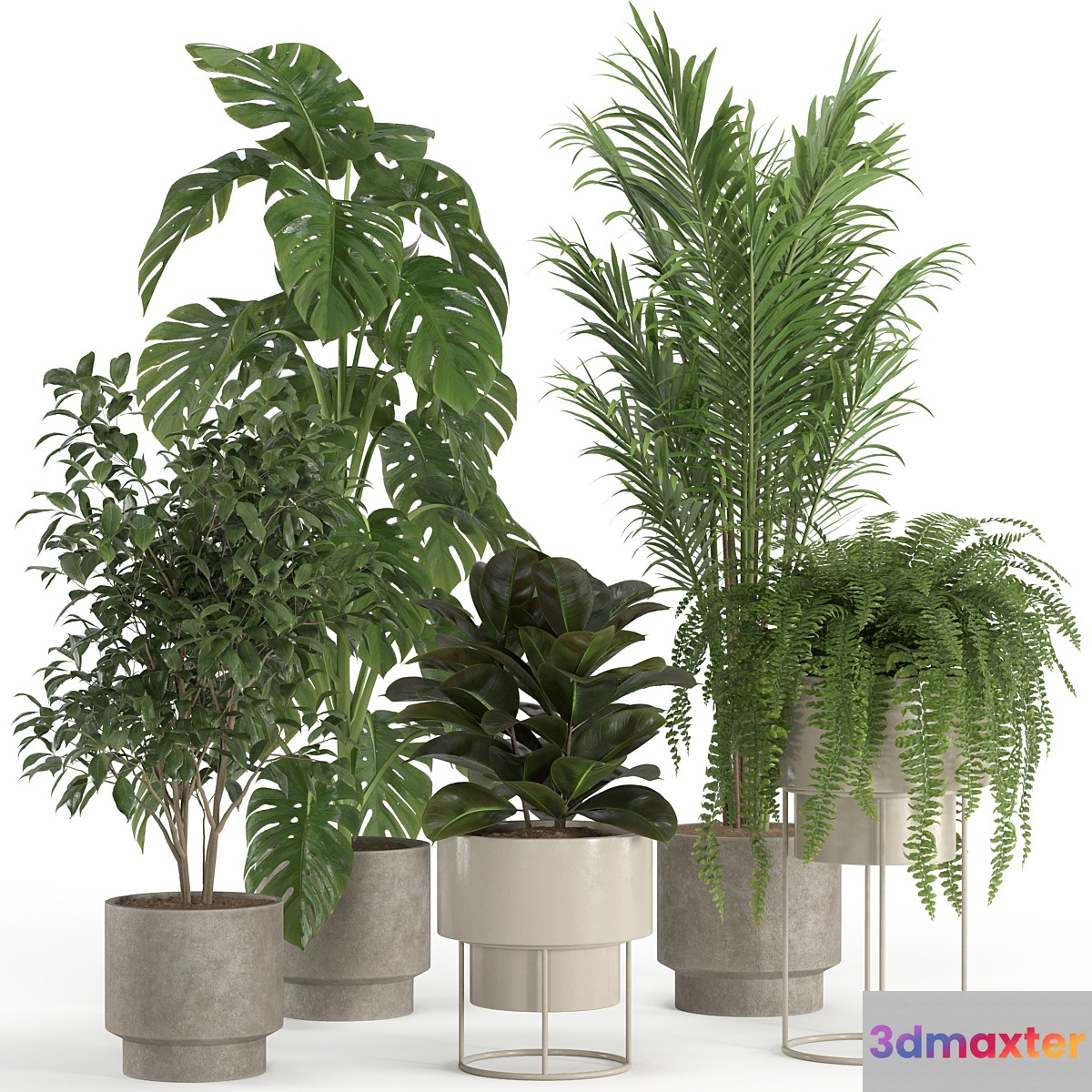 indoor plant set 021 3D Max