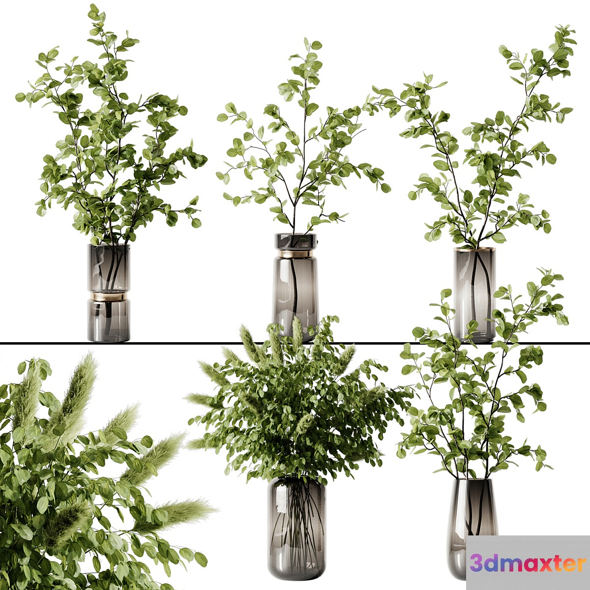 Plant 3 - No.5