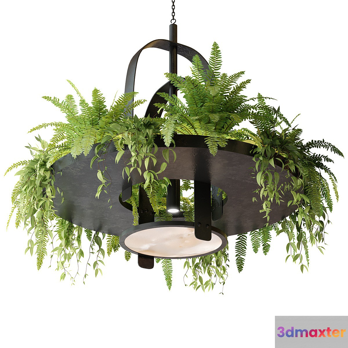 Hanging lamp with plants