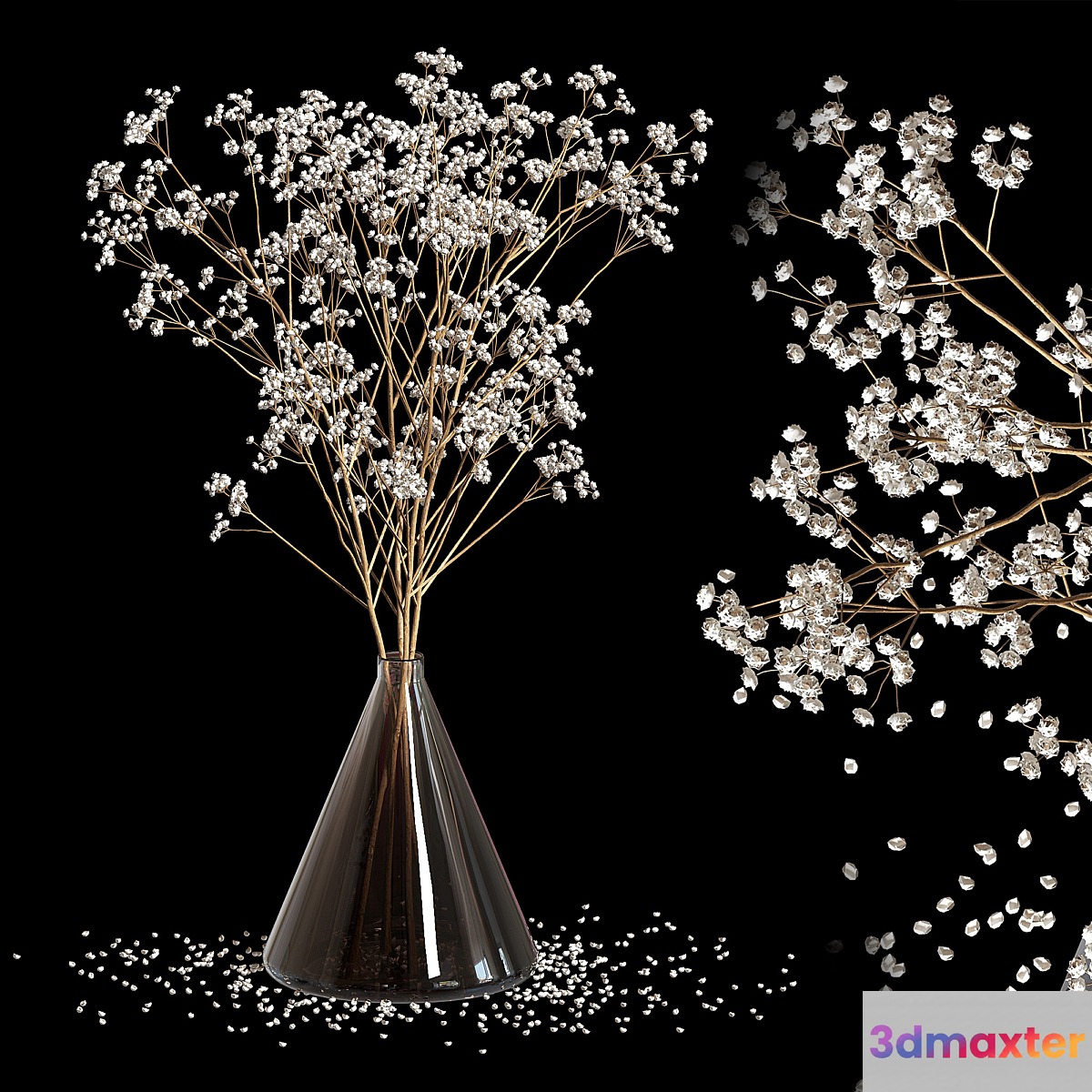 Dry Flowers_2
