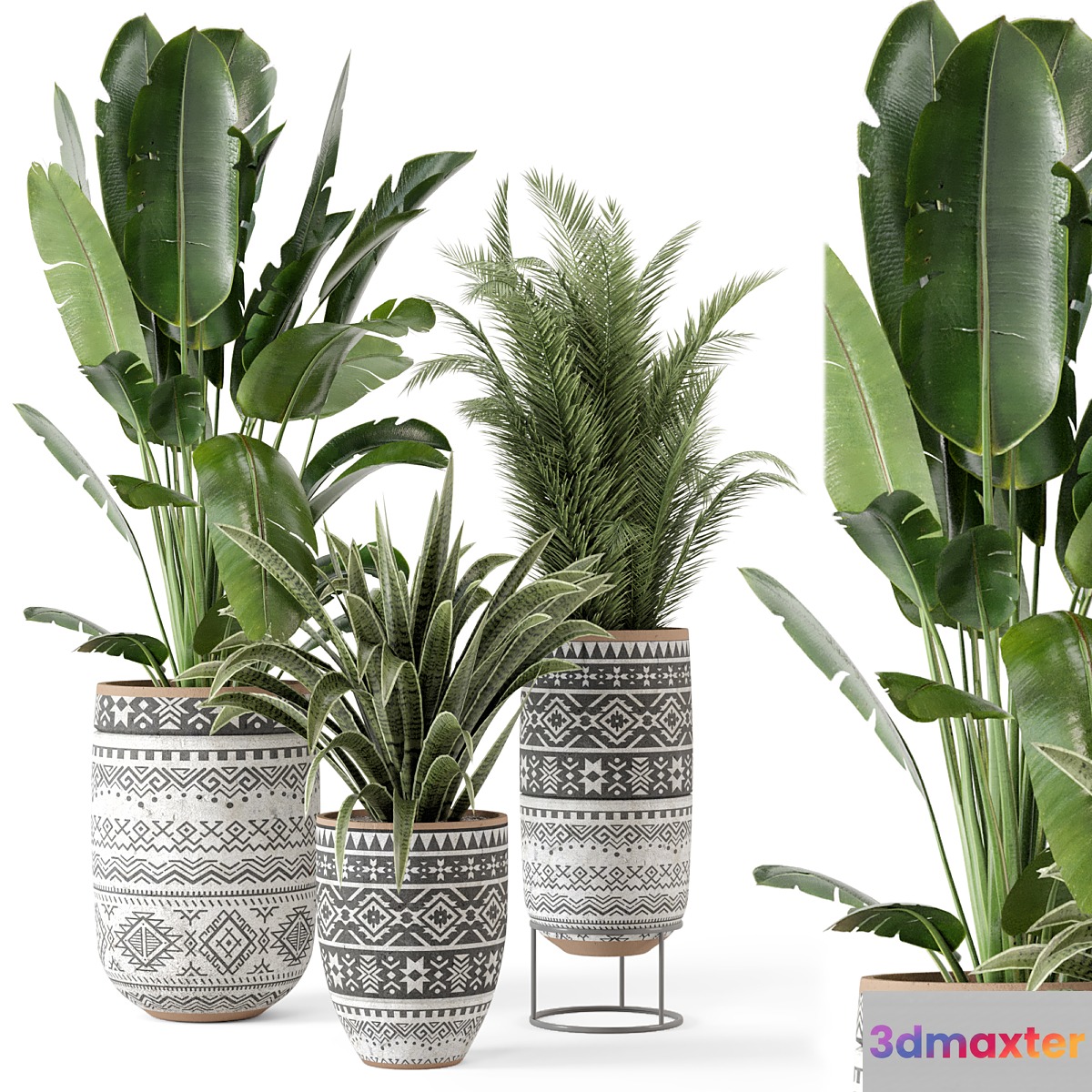 Indoor Plants in rusty Concrete Pot - Set 628