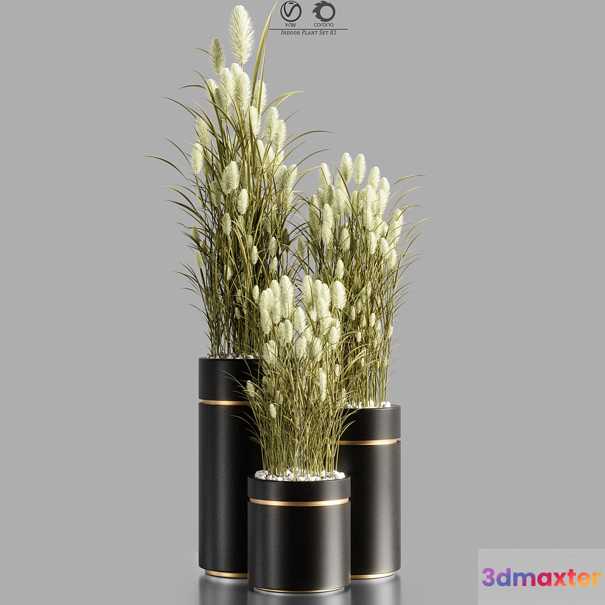 Indoor_Plant_Set_81 3D Max