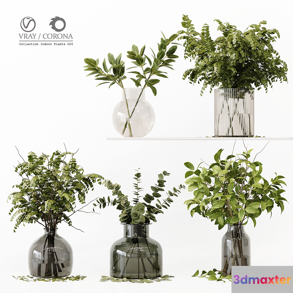 Collection Indoor Plants 020 - No.2