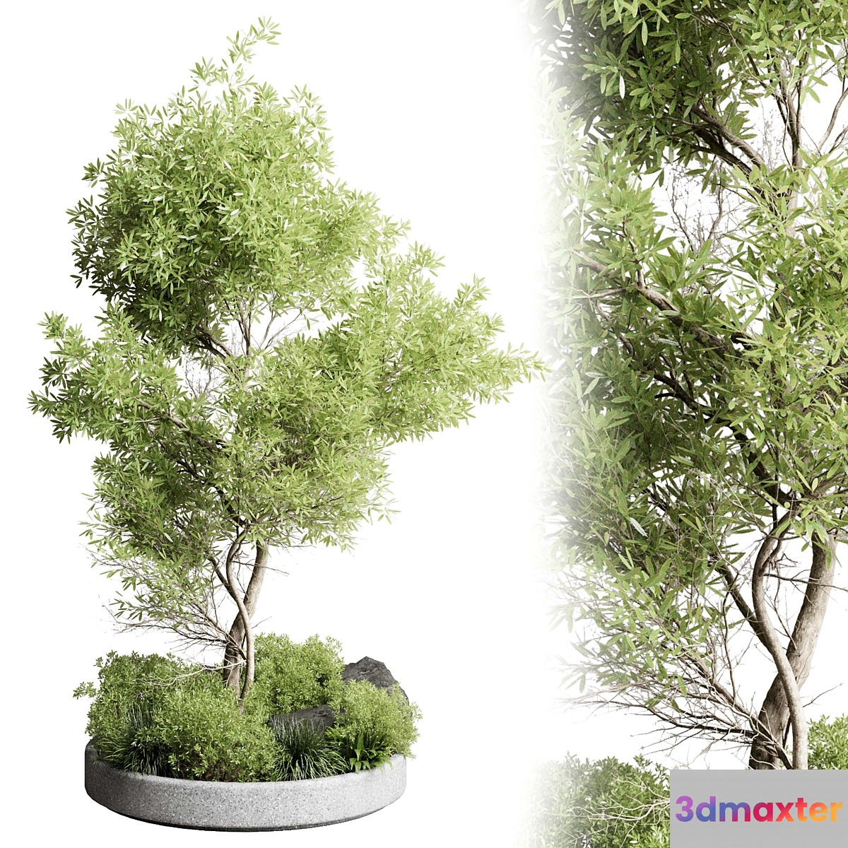 Collection outdoor indoor 85 pot plant & tree & bush - No.2