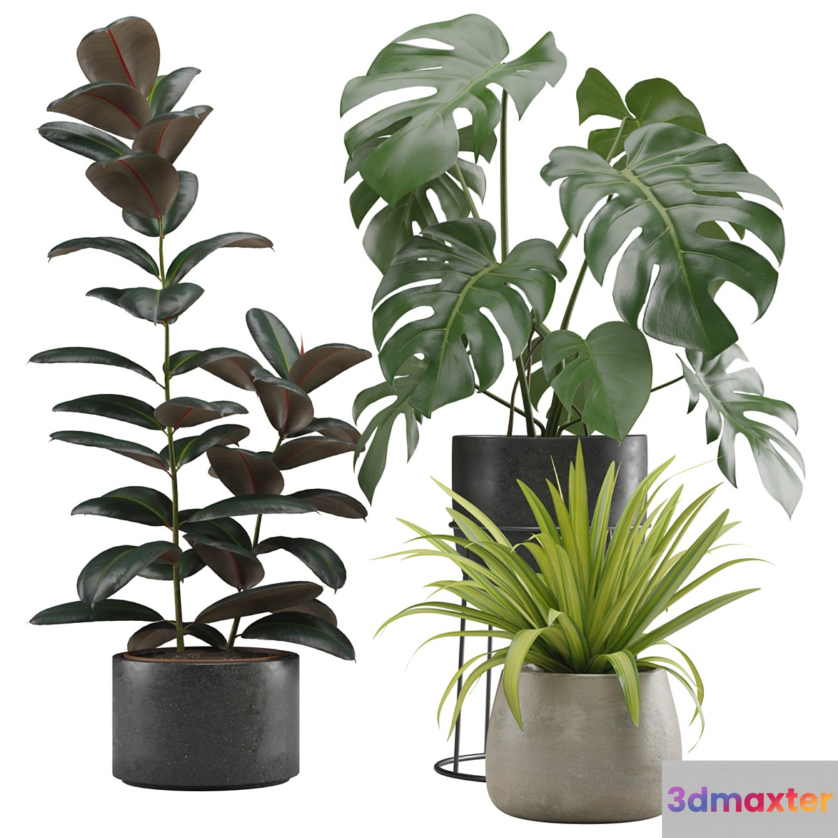 Indoor Plants Pack 15 - No.2