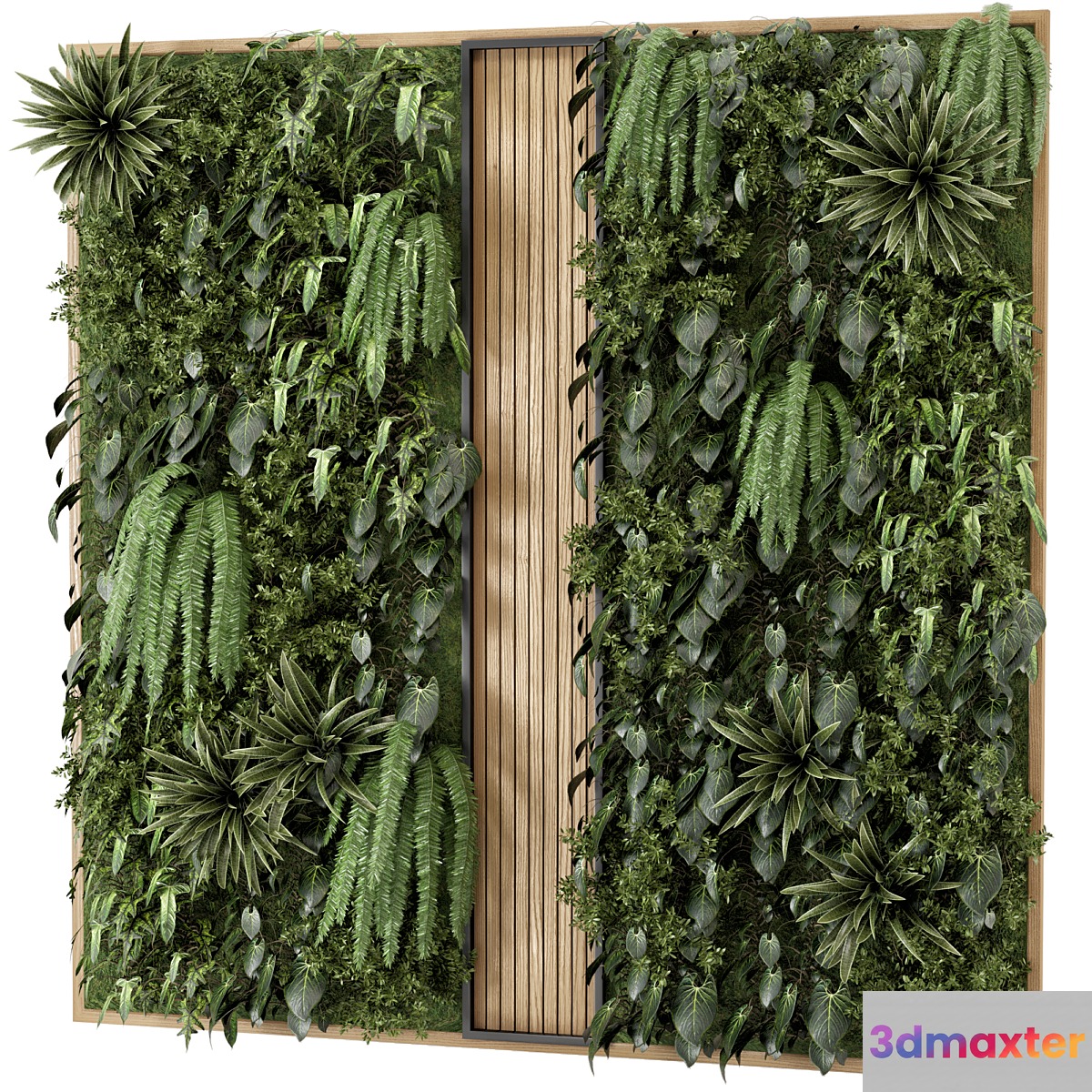 Indoor Wall Vertical Garden in Wooden Base - Set 638 - No.2