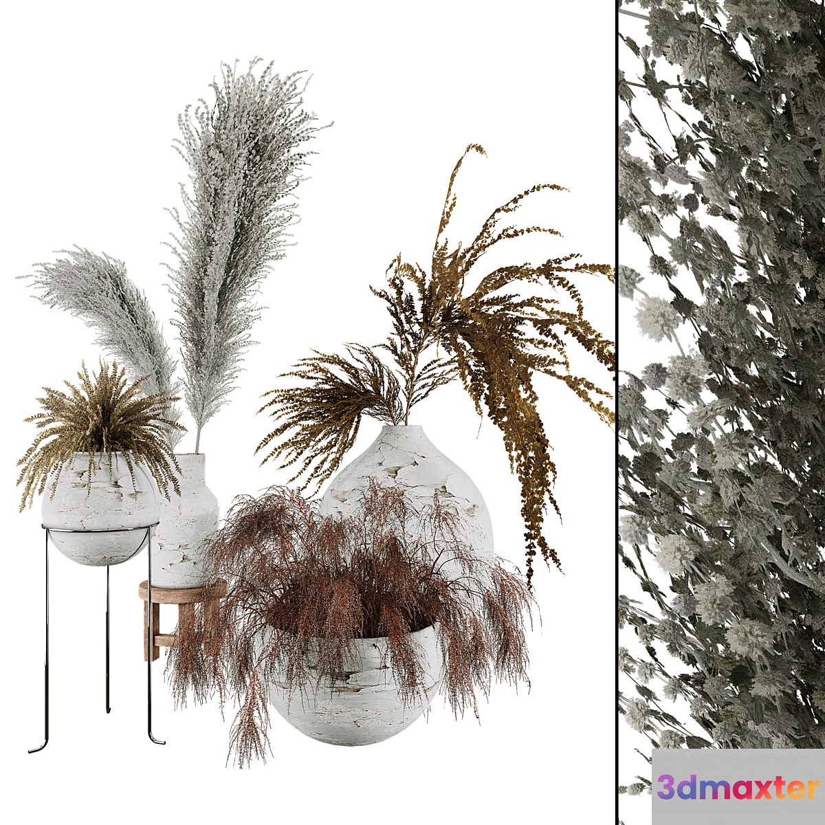 Plant Collection Set 01 - No.2
