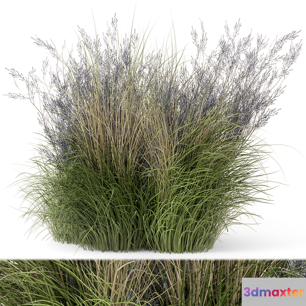 Outdoor Plants Bush-Bush Set 660
