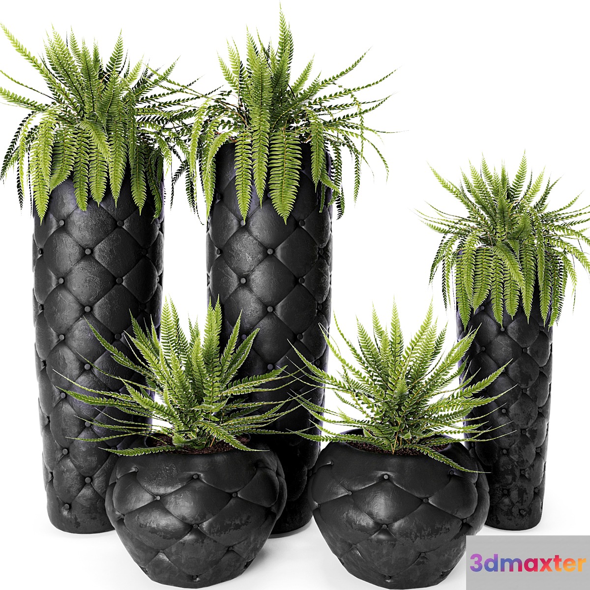 FERN + POTS Fleur Ami luxury flower pot flowerpot fern 3D Max