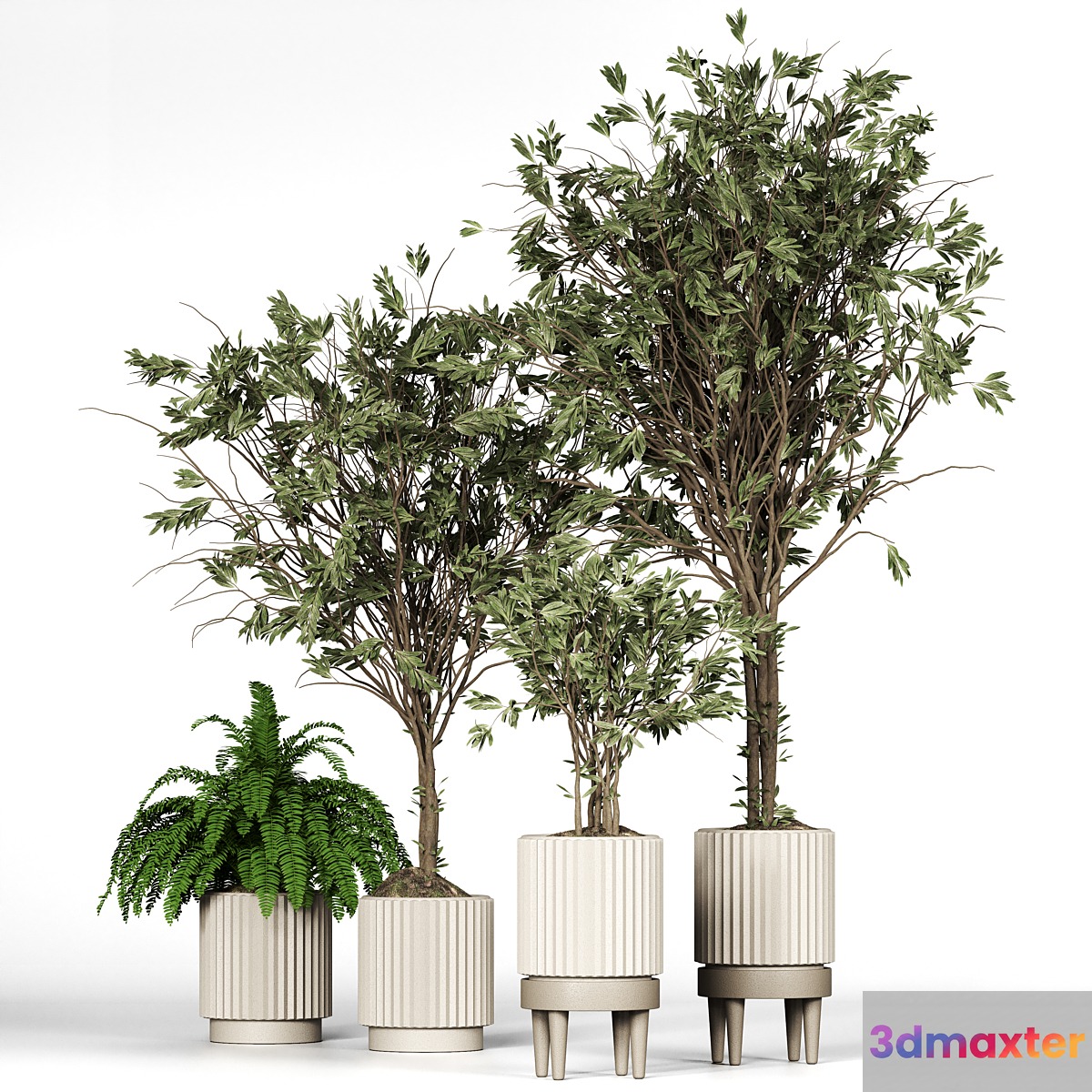 Collection_plant_05
