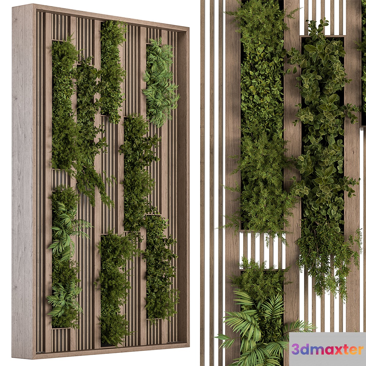 Green Wall - Plants partition 03 3D Max