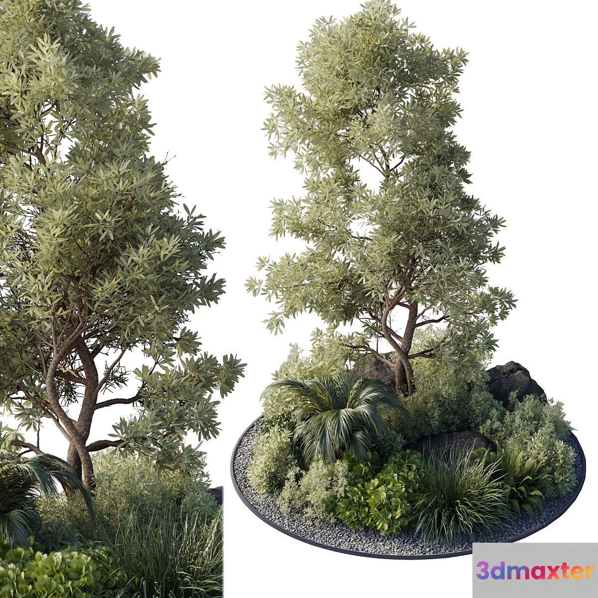 Collection outdoor indoor 89 pot plant & tree & bush & fern the garden pot 3D Max