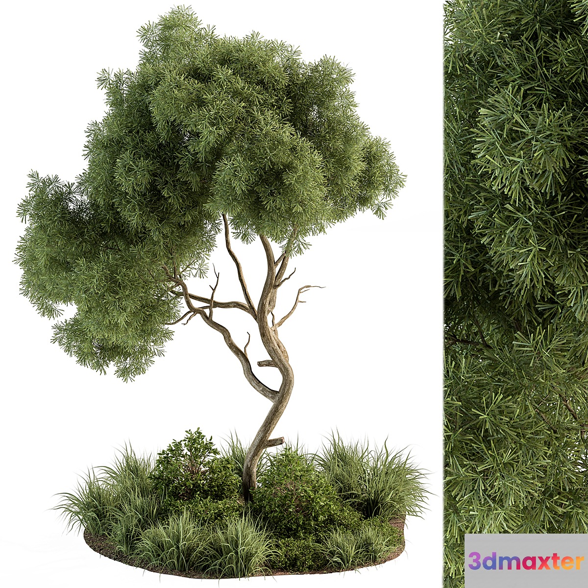 Garden Set Tree and Plants - Outdoor Plants Set 399