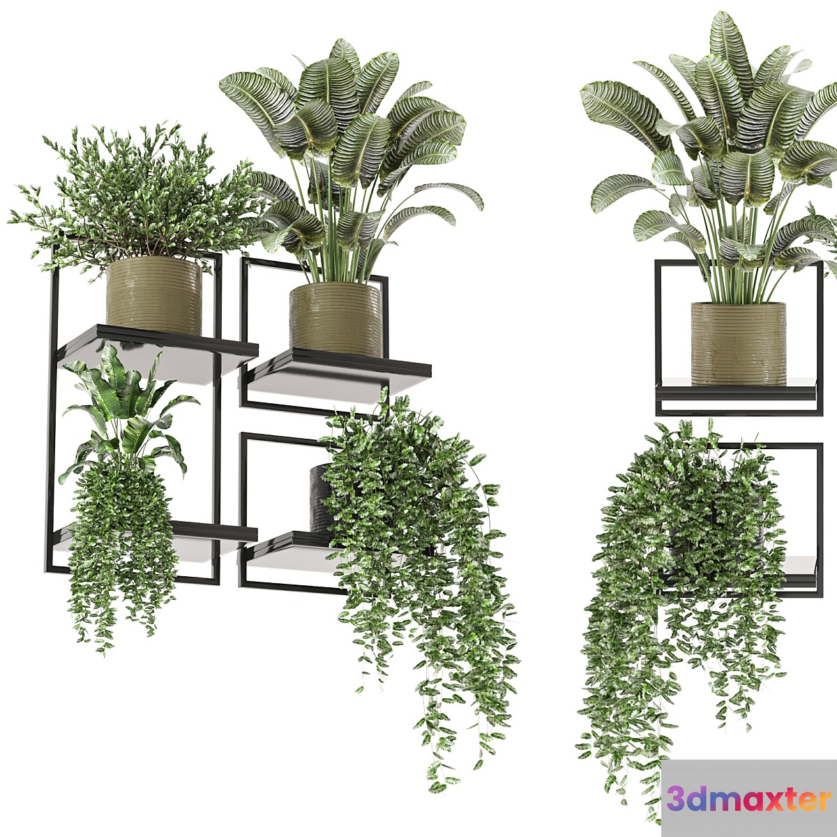 indoor hanging plants in metal box_set 332 3D Max