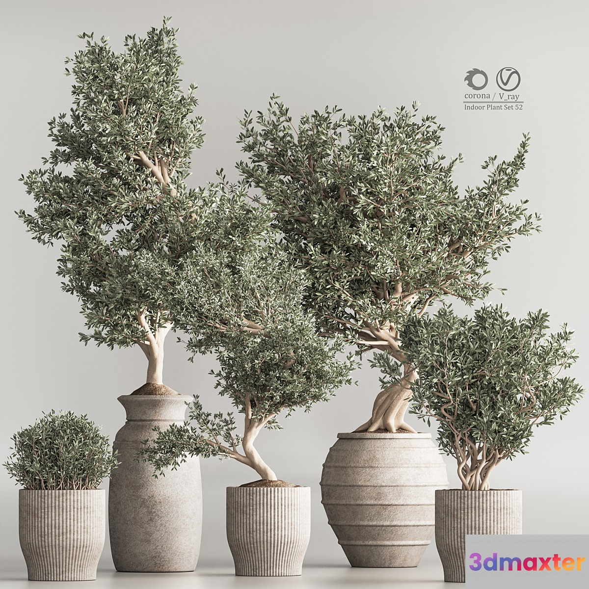 Indoor Plant Set 53 3D Max