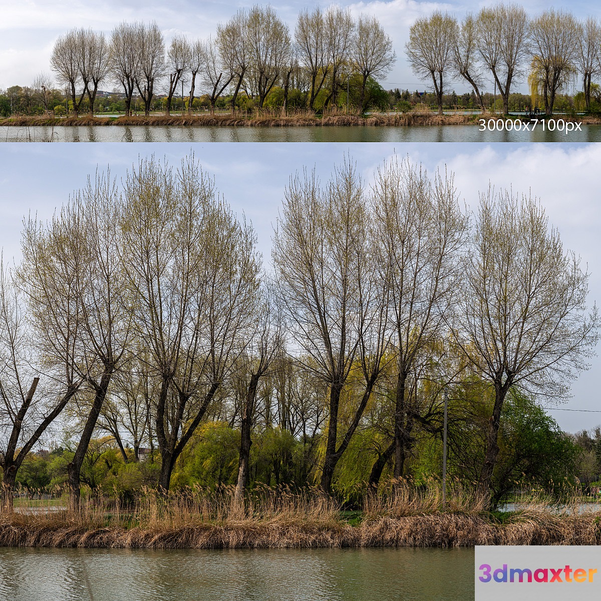 Spring panorama from the park with a lake and verdant trees. 30k